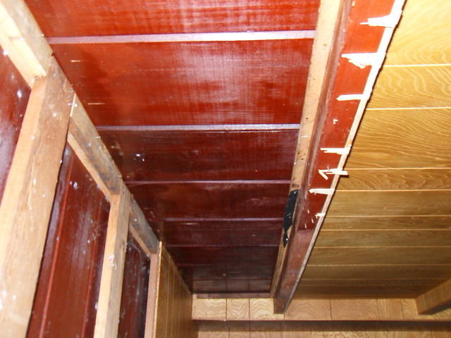 SDC10325
