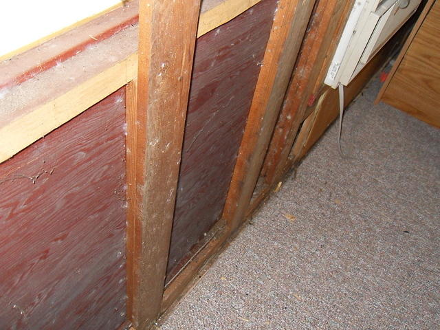 SDC10327