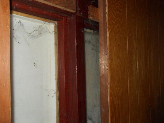 SDC10328