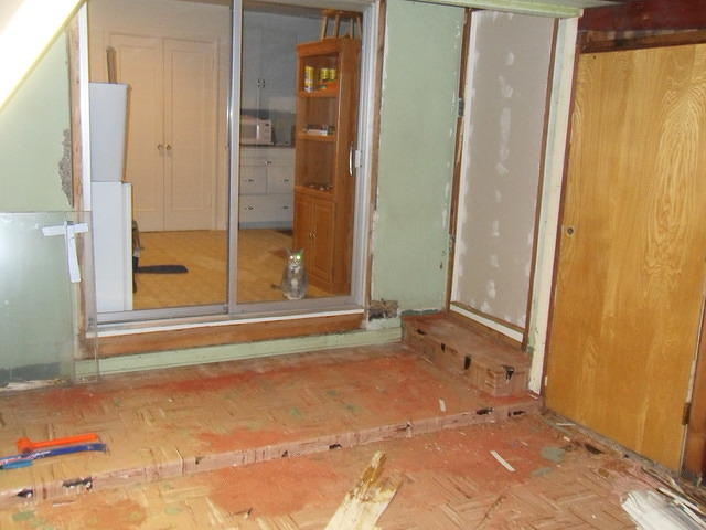 SDC10360