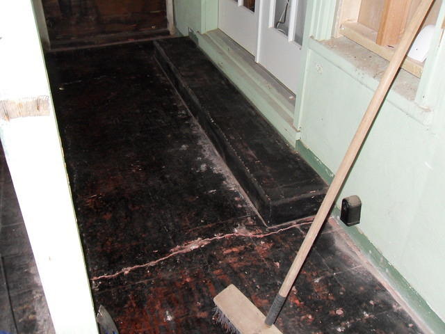 SDC10365