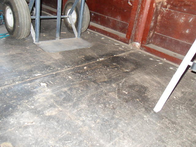 SDC10367