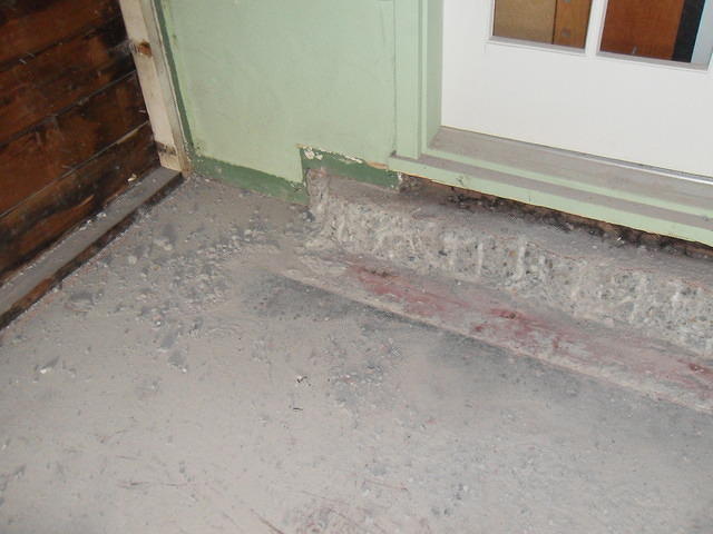 SDC10371