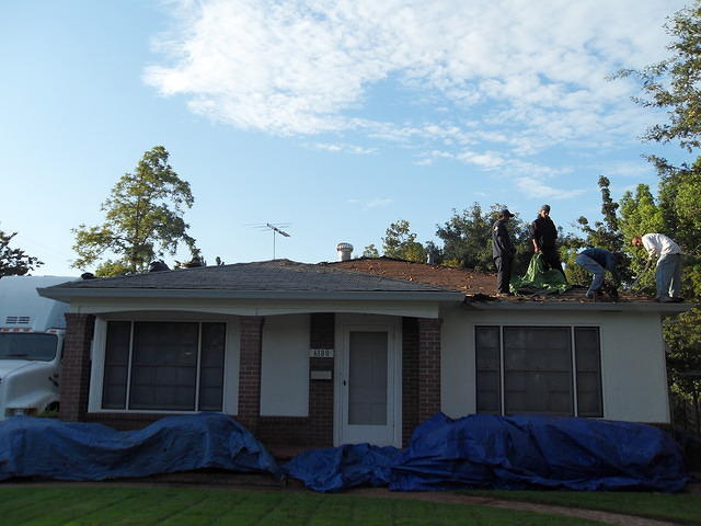 SDC10378