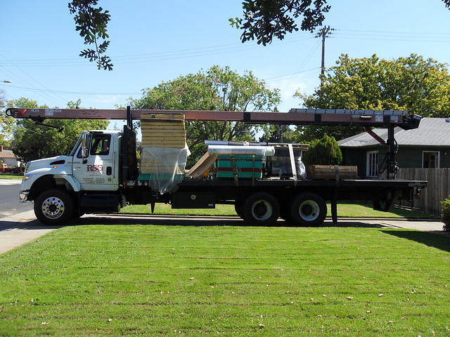SDC10384