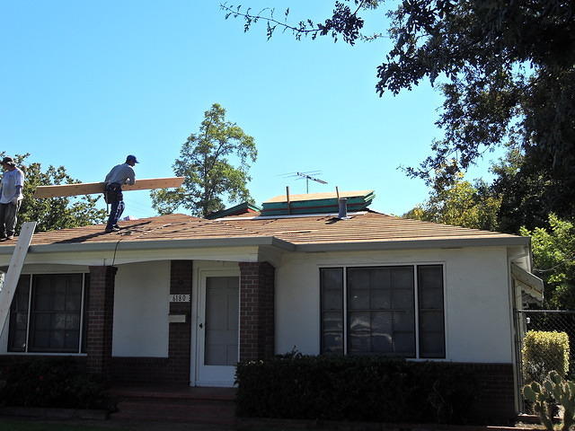 SDC10392
