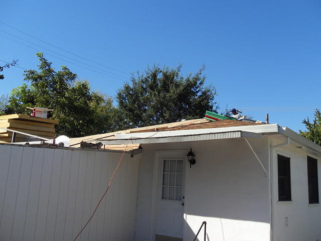 SDC10394