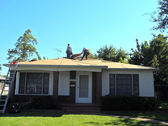 SDC10395