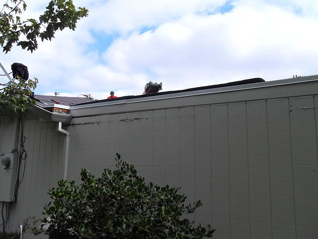 SDC10413