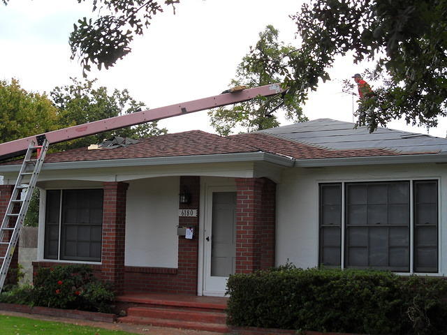 SDC10415