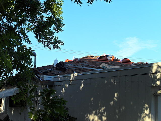 SDC10423