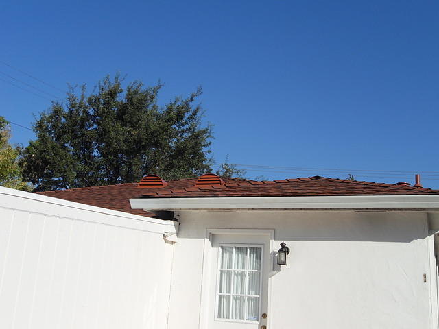 SDC10428
