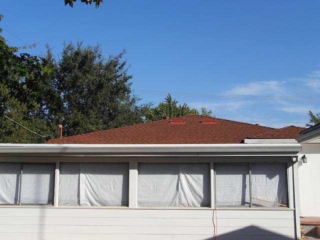 SDC10429