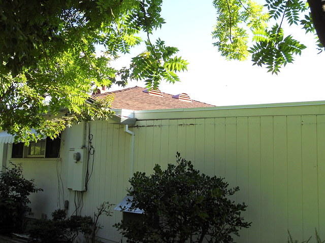 SDC10430