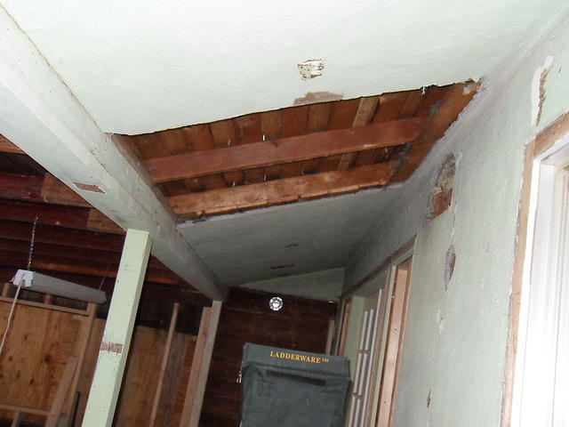 SDC10895
