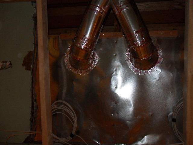 SDC10913
