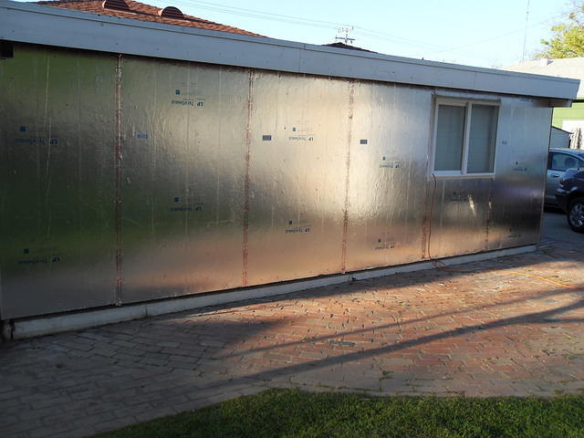 SDC10979