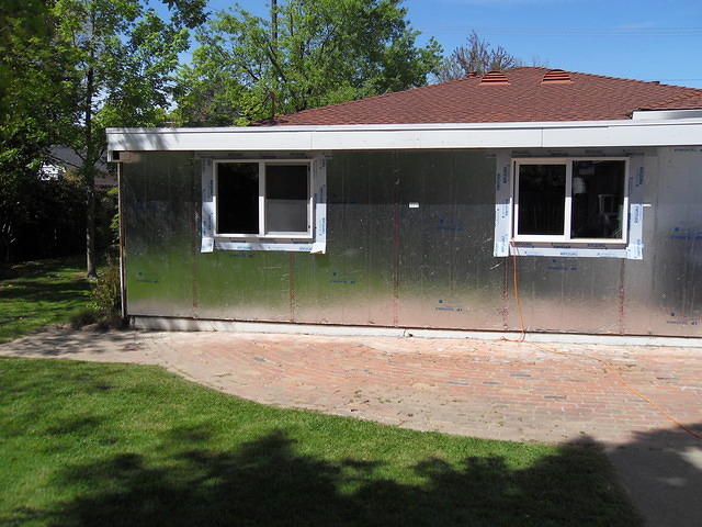 SDC10982