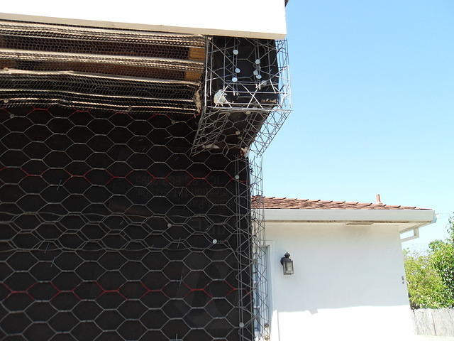 SDC11007