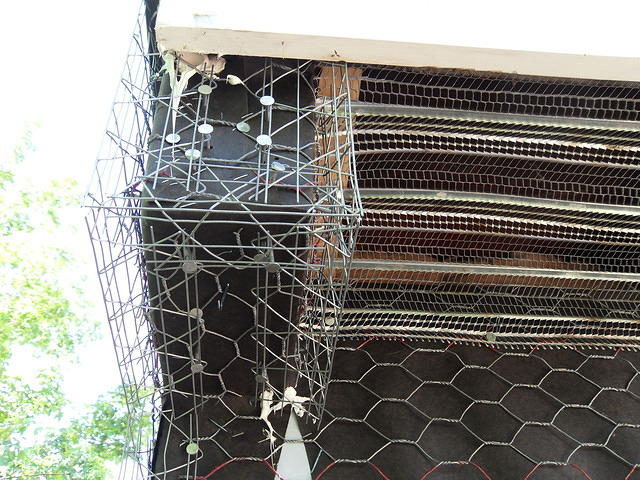 SDC11010