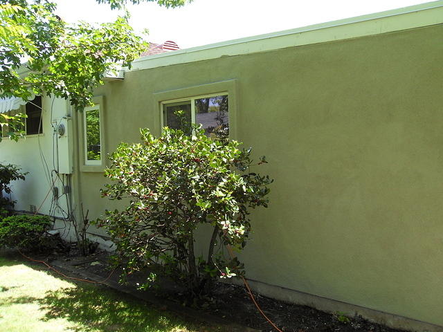 SDC11029