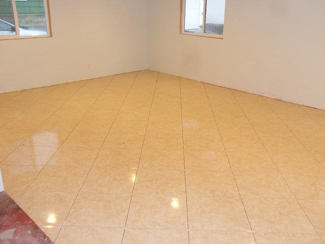 SDC11631