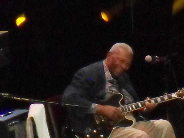 SDC12353