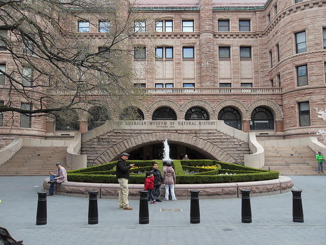 SDC12381