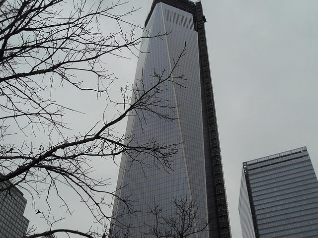 SDC12329
