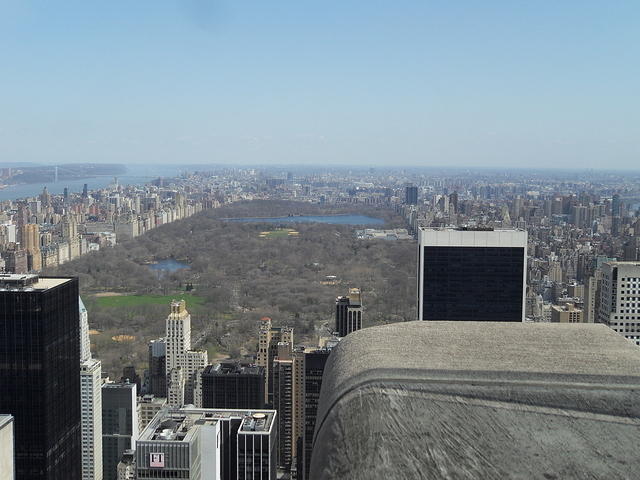 SDC12279