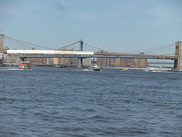 SDC12306