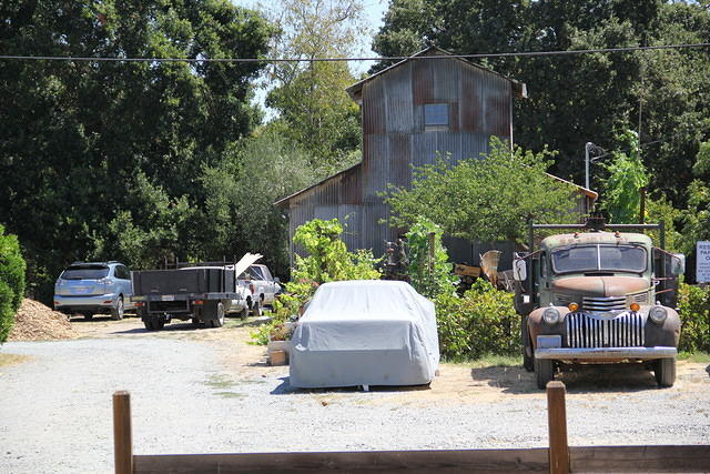IMG 2571