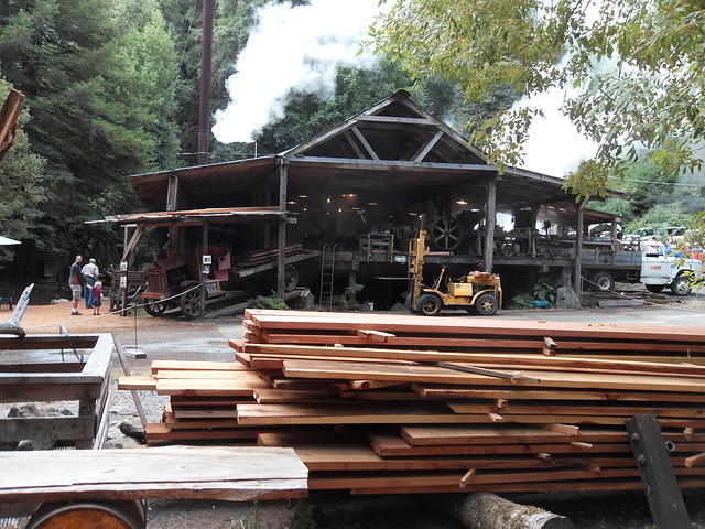 SDC12085