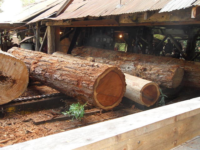 SDC12093