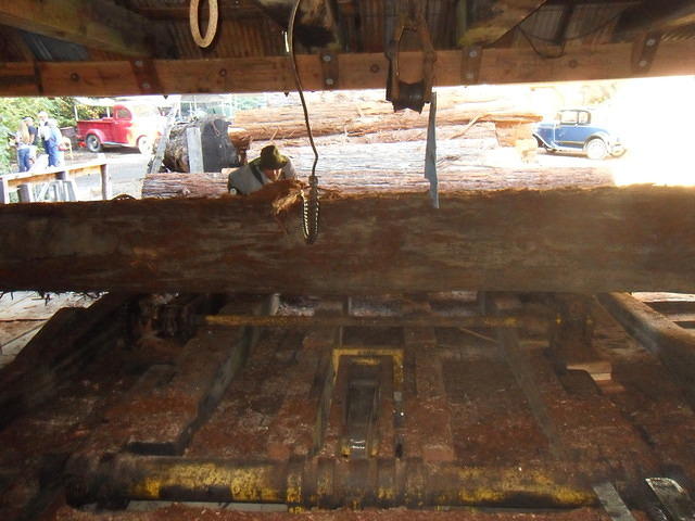 SDC12106