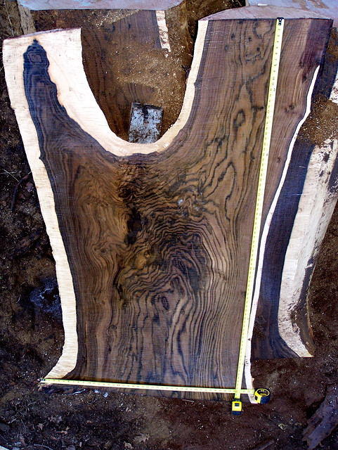 walnut 044
