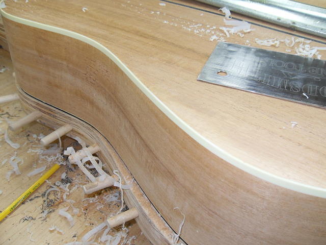 SDC10560