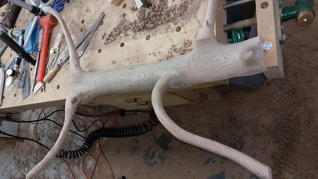 20151128_123632.jpg