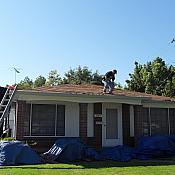 SDC10383