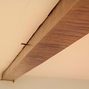 IMG 1143
