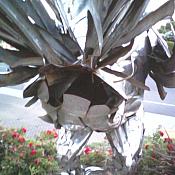 0705142035b