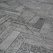 IMG 2077