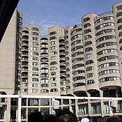 IMG 2175
