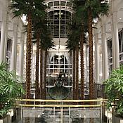 IMG 2333