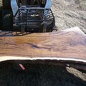 modesto walnut 033