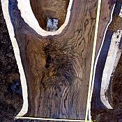 walnut 044