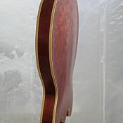 IMG 2594